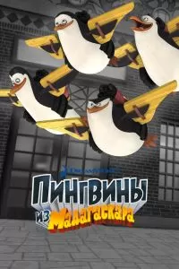 Пингвины из Мадагаскара