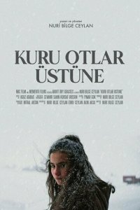 О сухой траве