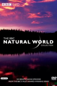 BBC: Живой мир