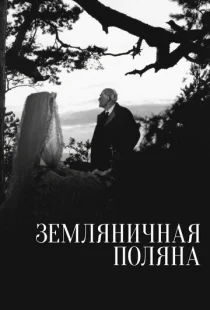 Земляничная поляна