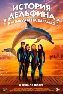 История дельфина: Каникулы на Багамах